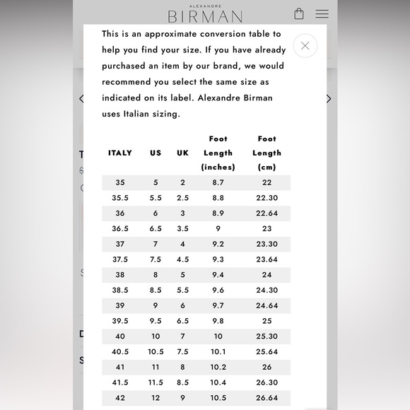 Alexandre Birman Tita 85mm Silver - Picture 11 of 11